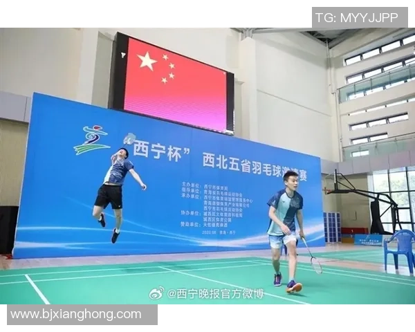 西安羽毛球队在杯赛中的耐力表现分析与总结